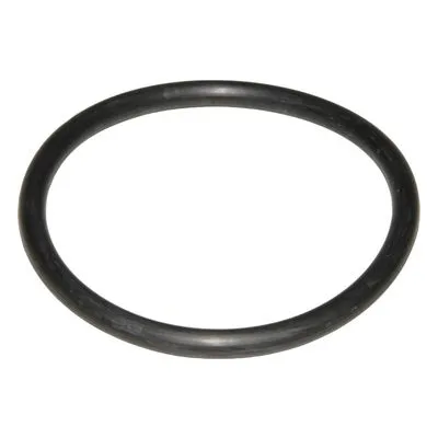 Yamada Pumps Part # 683998 O RING 69.6 MM X5.7 MM E70