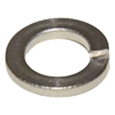 Yamada Pumps Part # 680257 SPRING WASHER M10 SS DIN 127