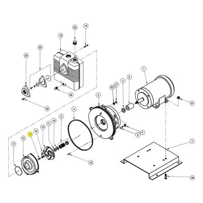 Barnes Pumps 019802 Repair Pump Part Number SCREW, HXHD, 1/2-20, 1.000", SS