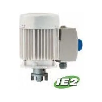 Lutz Drum Pump Motor 0172-765-1, B70V-H D/DA 2HP 208/230/460V 3ph 60Hz IP56 TEFC