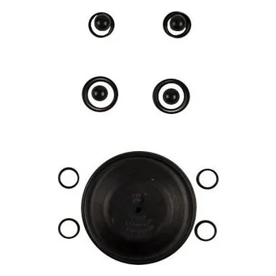 Wilden Pumps 02-9815-53, KIT, WET, 1"/A/P/VTS. Wet End Repair Kit for 1" Plastic Pumps by PSG Dover.