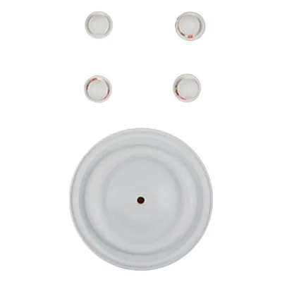 Wilden Pumps 02-9804-55-201, KIT, WET, 1"/O/M/TWS. Wet End Repair Kit for 1" Metal Pumps by PSG Dover.