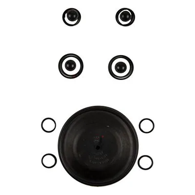 Wilden Pumps 02-9805-53, KIT, WET, 1"/O/P/VTS. Wet End Repair Kit for 1" Plastic Pumps by PSG Dover.