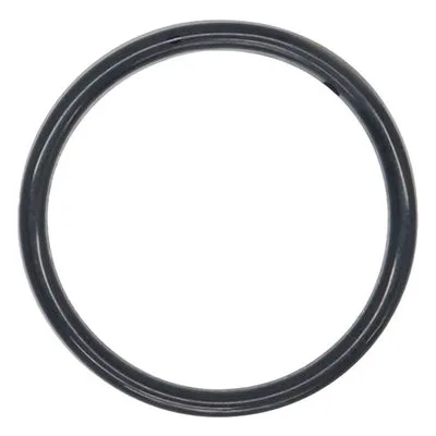 Wilden Pumps 05-1370-60, O-RING (1.484 X .139)ENCAPVIT. Air Operated Double Diaphragm Pump Spare Parts by PSG Dover.