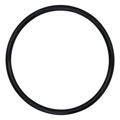 Wilden Pumps 71-1280-52, O-RING, (3.109 X.139) P15ENDCP. Diaphragm Pump Surge Dampener Spare Parts by PSG Dover.