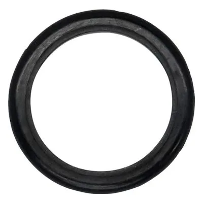 Wilden Pumps 01-3210-55-200, SEAL, SLIPPER, (.620 X .030). Air Operated Double Diaphragm Pump, 01 Series Spare Parts