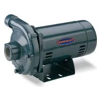 CP / CB Cast Iron Centrifugal
