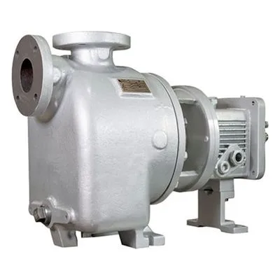 Pumpworks 121-00100-0000 PWA-SP Series ANSI B73.1 Self-Priming Process Pump, PSP,1.5X1.5X8,1F1,NTP,0BB0,CCS,STD.