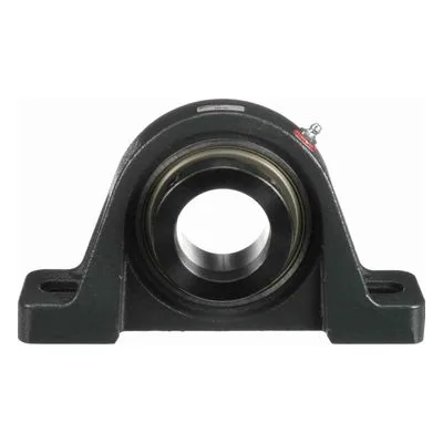 767327 Browning Mounted Cast Iron Two Bolt Pillow Block Ball Bearing, Catalog Number: VPE-132, 2" - Straight Bore.