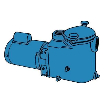 Burks Series 10WPT5X Pump Model 10WPT5X