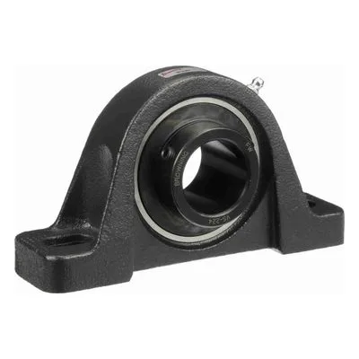 767409 Browning Mounted Cast Iron Two Bolt Low Base Pillow Block Ball Bearing, Catalog Number: VPLS-226, 1.625" Straight Bore.