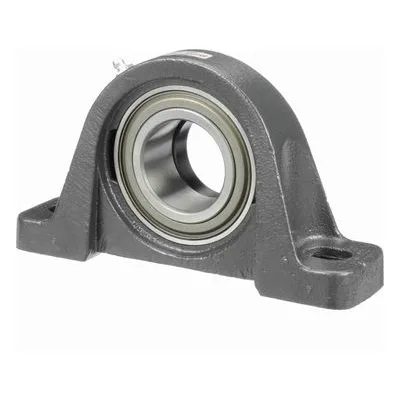 767323 Browning Mounted Cast Iron Two Bolt Pillow Block Ball Bearing, Catalog Number: VPE-131, 1.938" - Straight Bore.