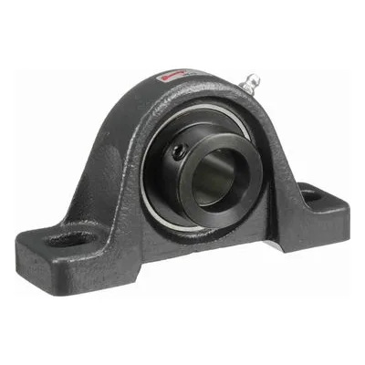 767377 Browning Mounted Cast Iron Two Bolt Pillow Block Ball Bearing, Catalog Number: VPE-220, 1.25" - Straight Bore.