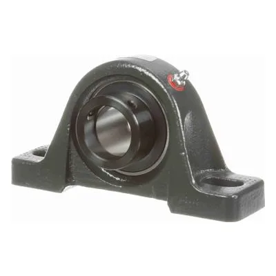 767637 Browning Mounted Cast Iron Two Bolt Pillow Block Ball Bearing, Catalog Number: VPE-220S, 1.25" - Straight Bore.