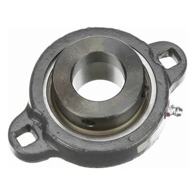 767793 Browning Mounted Ductile Iron Two Bolt Flange Ball Bearing, Catalog Number: VF2E-120M, 1.25" - Straight Bore.