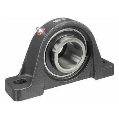 767887 Browning Mounted Cast Iron Two Bolt Pillow Block Ball Bearing, Catalog Number: VPE-232, 2" - Straight Bore.