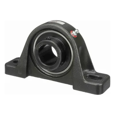 767458 Browning Mounted Cast Iron Two Bolt Low Base Pillow Block Ball Bearing, Catalog Number: VPLS-220, 1.25" Straight Bore.