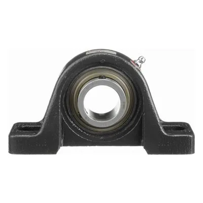 767583 Browning Mounted Cast Iron Two Bolt Pillow Block Ball Bearing, Catalog Number: VPS-119, 1.188" - Straight Bore.