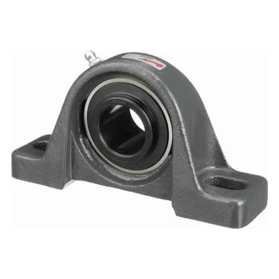 767448 Browning Mounted Cast Iron Two Bolt Pillow Block Ball Bearing, Catalog Number: VPS-219, 1.188" - Straight Bore.
