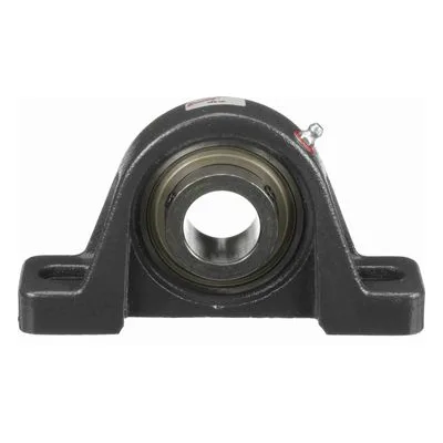 767566 Browning Mounted Cast Iron Two Bolt Pillow Block Ball Bearing, Catalog Number: VPS-120, 1.25" - Straight Bore.