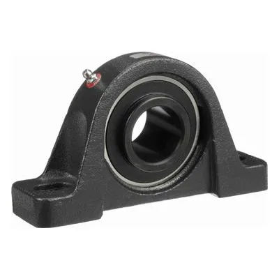 767846 Browning Mounted Cast Iron Two Bolt Low Base Pillow Block Ball Bearing, Catalog Number: VPLS-224, 1.5" Straight Bore.