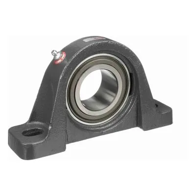 767683 Browning Mounted Cast Iron Two Bolt Pillow Block Ball Bearing, Catalog Number: VPS-131, 1.938" - Straight Bore.