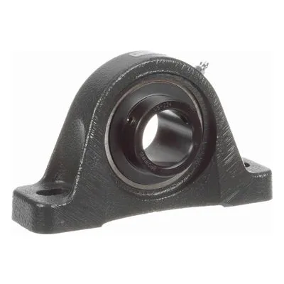 764541 Browning Mounted Cast Iron Two Bolt Pillow Block Ball Bearing, Catalog Number: VPDS-224, 1.5" - Straight Bore.