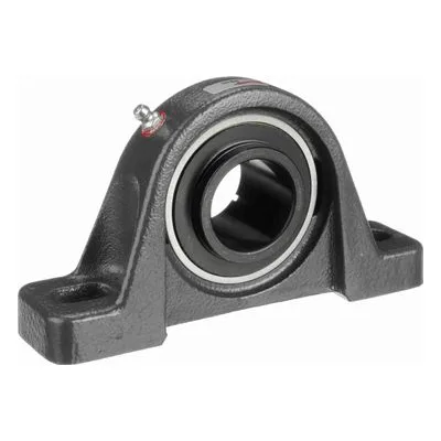 766186 Browning Mounted Cast Iron Two Bolt Pillow Block Ball Bearing, Catalog Number: VPB-223, 1.438" - Straight Bore.