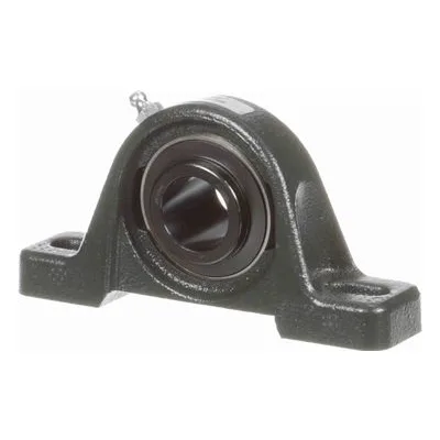 732683 Browning Mounted Cast Iron Two Bolt Pillow Block Ball Bearing, Catalog Number: VPS-25MM, 0.984" - Straight Bore.