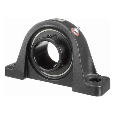 767922 Browning Mounted Cast Iron Two Bolt Low Base Pillow Block Ball Bearing, Catalog Number: VPLS-231, 1.938" Straight Bore.