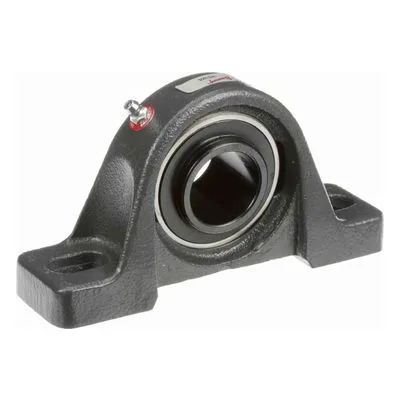767850 Browning Mounted Cast Iron Two Bolt Pillow Block Ball Bearing, Catalog Number: VPS-220S, 1.25" - Straight Bore.
