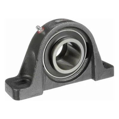 767893 Browning Mounted Cast Iron Two Bolt Low Base Pillow Block Ball Bearing, Catalog Number: VPLE-228, 1.75" Straight Bore.
