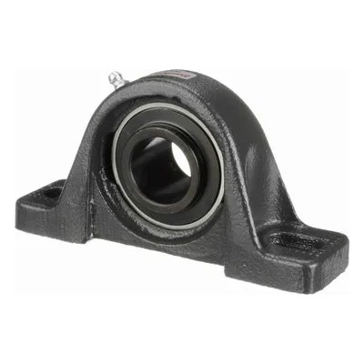 767447 Browning Mounted Cast Iron Two Bolt Low Base Pillow Block Ball Bearing, Catalog Number: VPLS-219, 1.188" Straight Bore.