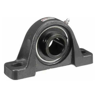 767459 Browning Mounted Cast Iron Two Bolt Pillow Block Ball Bearing, Catalog Number: VPS-220, 1.25" - Straight Bore.