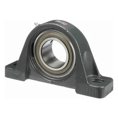 767967 Browning Mounted Cast Iron Two Bolt Pillow Block Ball Bearing, Catalog Number: VPS-135, 2.188" - Straight Bore.