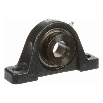 767307 Browning Mounted Cast Iron Two Bolt Pillow Block Ball Bearing, Catalog Number: VPE-120, 1.25" - Straight Bore.