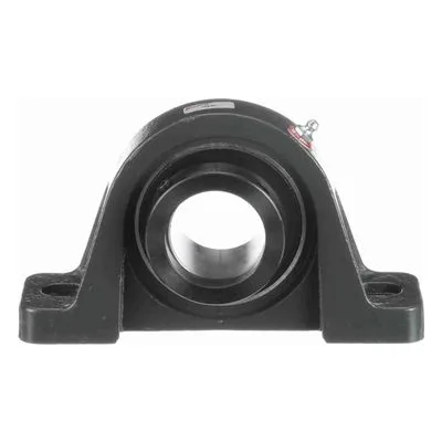 767918 Browning Mounted Cast Iron Two Bolt Pillow Block Ball Bearing, Catalog Number: VPE-231, 1.938" - Straight Bore.