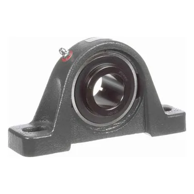 766199 Browning Mounted Cast Iron Two Bolt Pillow Block Ball Bearing, Catalog Number: VPB-320, 1.25" - Straight Bore.