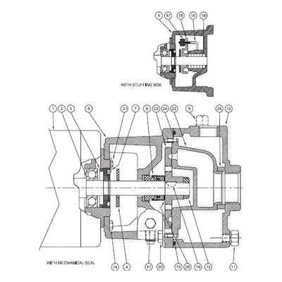 Burks Pump Part Number 02953, Pipe Plug - 1/2"