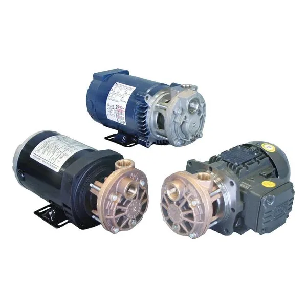 T31 Series Turbine Pumps
