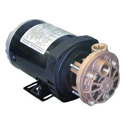 MTH Model T31C AB, 8C-T310CABSCSXSAXX-MF31AD Regenerative Turbine Pump, All Bronze ODP Motor