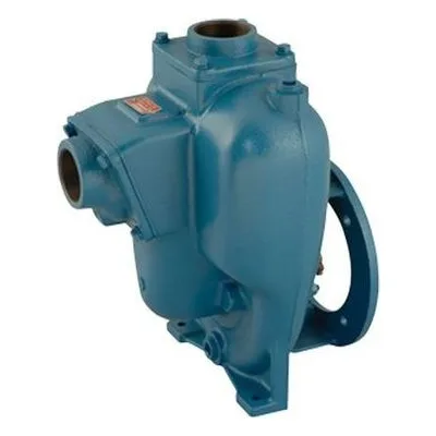 MP Pumps 21353, FM10PPK B: PEM 6.0 Available On PumpCatalog.com