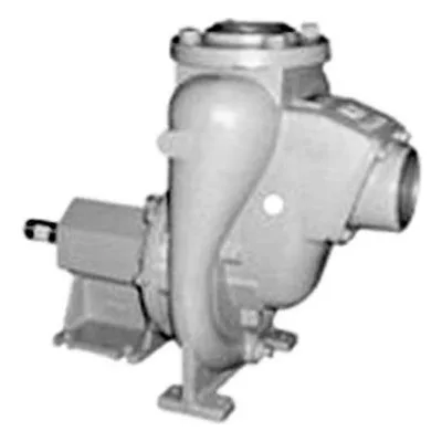 MP Pumps 50861 - FM30PPK C:ENG 1.0 6.35SI SSWP T-2100. A Gardner-Denver Product.