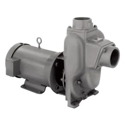 MP Pumps 50640 - PO10PPK CS-:PEM 3/4 5.75 NRS. A Gardner-Denver Product.