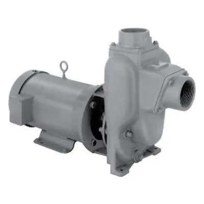 MP Pumps 50900 - PG8PMP D:2-3 145TC XP 5.0 T-2 CSC AWP. A Gardner-Denver Product.
