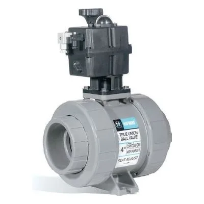 Hayward Flow Control ECP2-12-24D, ECP Series Electric Actuator 221 IN LB 12/24 VAC F05 X 14mm