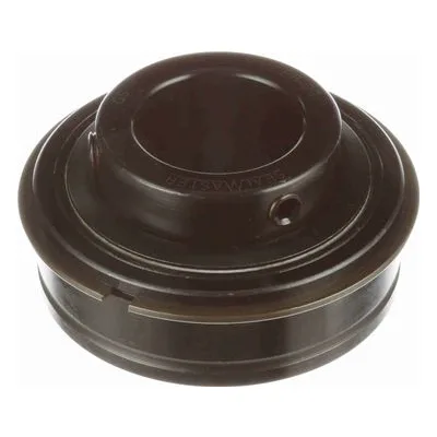 ER-20 Sealmaster 701063 ER Style Gold Line Ball Bearing Insert Only, 1.25" (Straight Bore), by Regal Rexnord.
