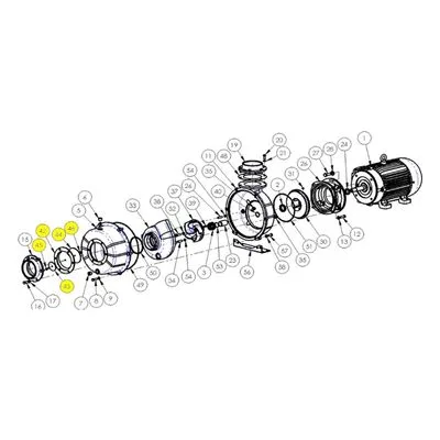 AMT Pumps 6200-070-90, Pump Repair Parts, Kits & Accessories. CHECK VALVE VITON SUBGROUP by Gorman-Rupp.