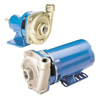 Goulds Water Technology 1SS1ECL5 ICS Open Impeller 316SS End Suction Pump, 1HP 3/60/208-230-460 TEPE 3.38" by Xylem