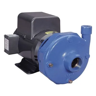 22BF1GBG3 Goulds Water Technology 3656 S-Group Close Coupled Centrifugal Pump, 2HP 3/60/208-230-460 DPPE 4.81" by Xylem